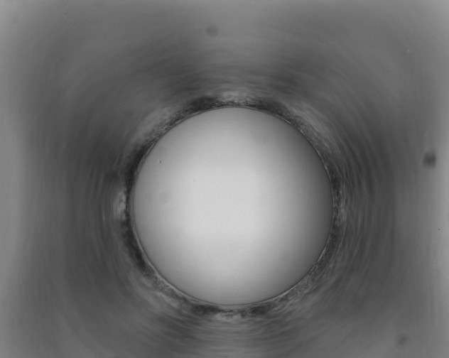 X0000091470502200708161131