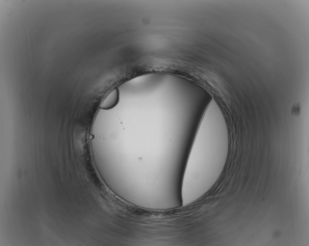 X0000091470503200708161131