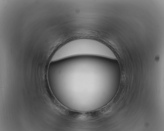 X0000091470504200708161131