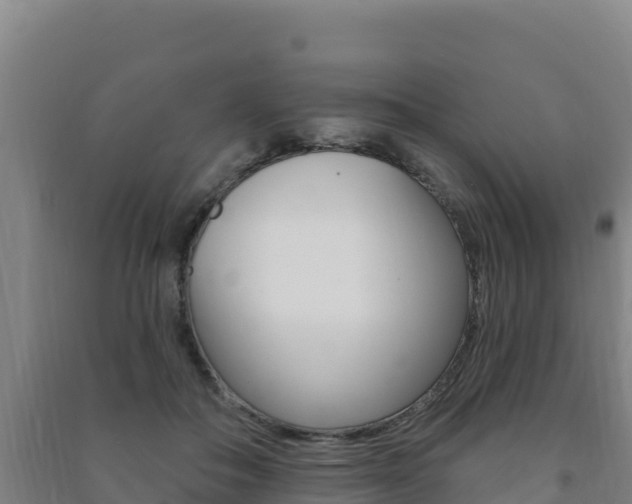 X0000091470506200708161131