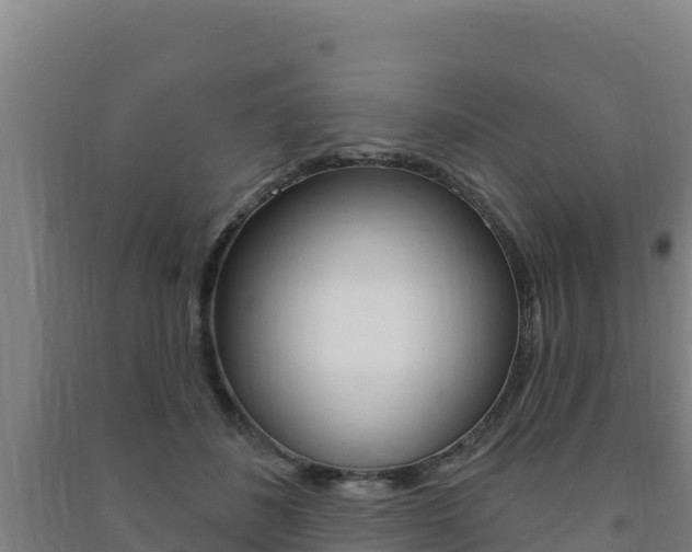 X0000091470508200708161131