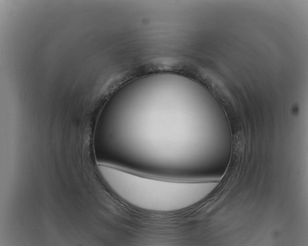 X0000091470509200708161131