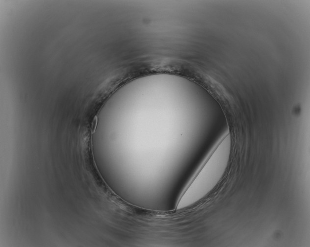 X0000091470513200708161131