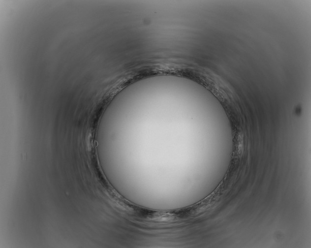 X0000091470514200708161130