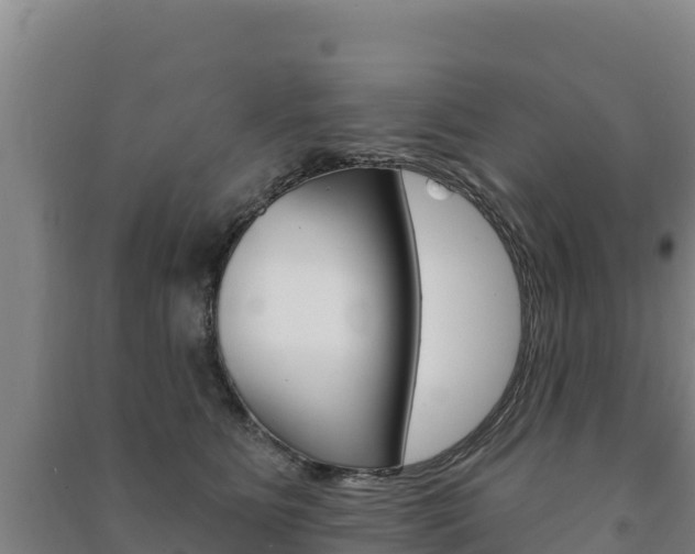 X0000091470515200708161130
