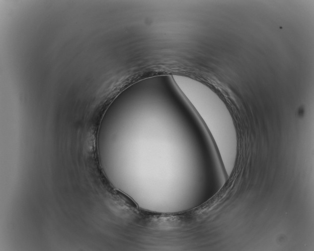 X0000091470517200708161130