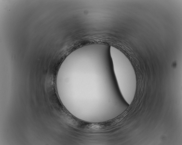X0000091470518200708161130