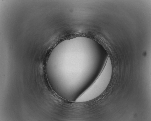 X0000091470520200708161130