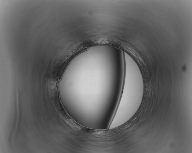 X0000091470521200708161130