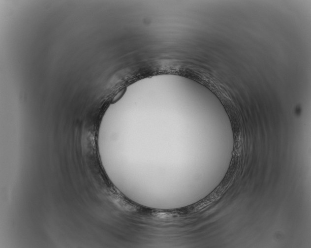 X0000091470522200708161130