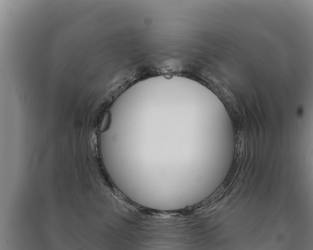 X0000091470523200708161130