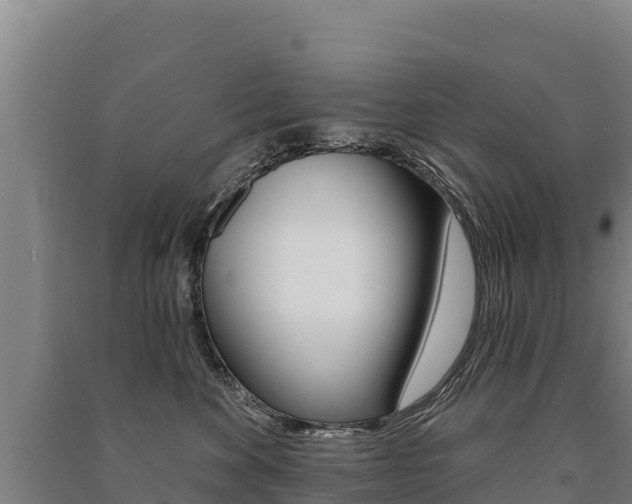 X0000091470524200708161130