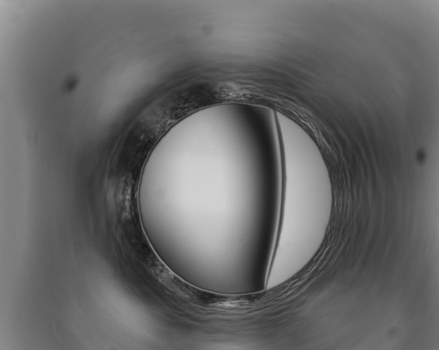 X0000091470525200708161130