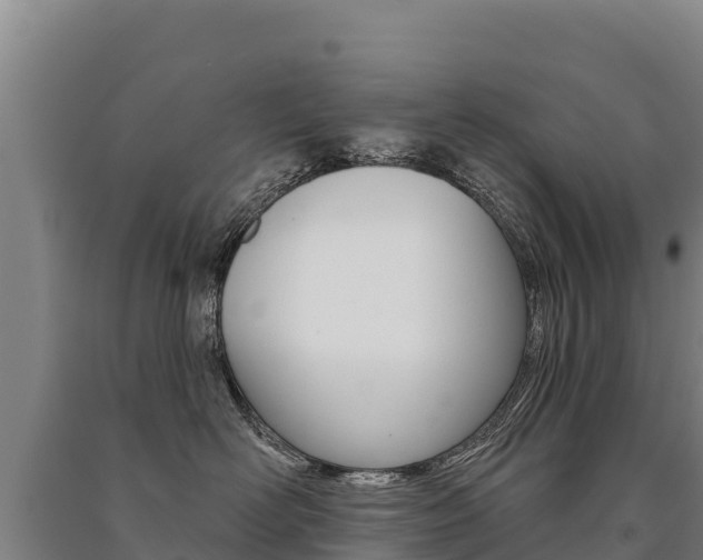 X0000091470526200708161130