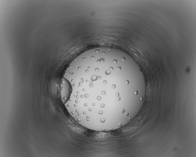 X0000091470527200708161130