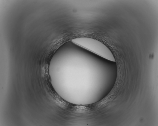 X0000091470528200708161130