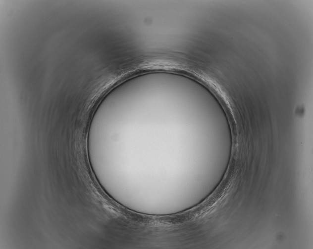 X0000091470529200708161130