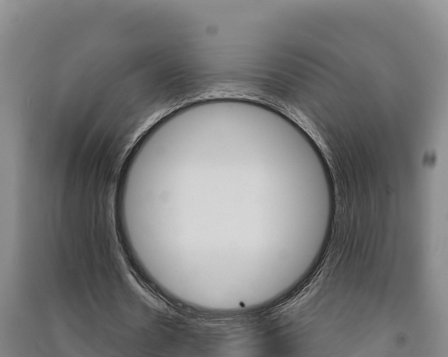 X0000091470530200708161130