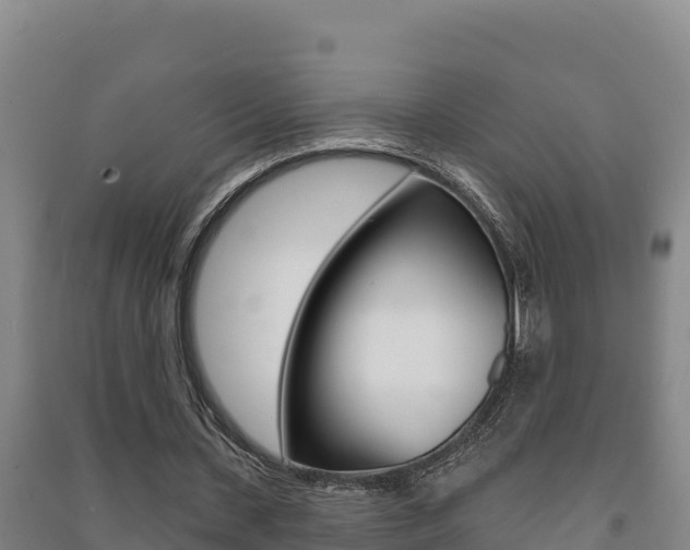 X0000091470531200708161130