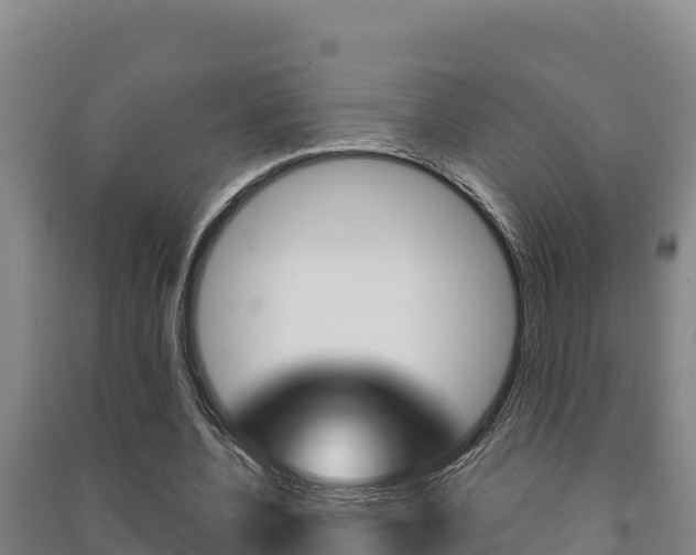 X0000091470532200708161130