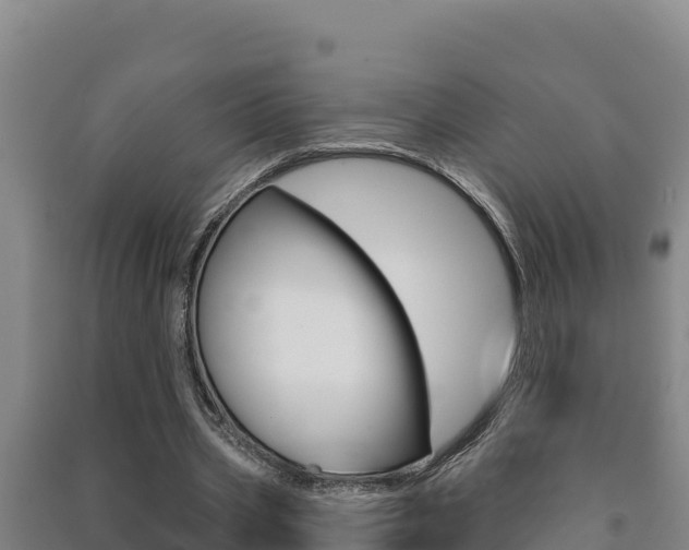 X0000091470533200708161130