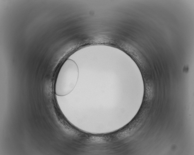 X0000091470534200708161130