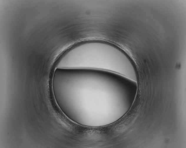 X0000091470535200708161130
