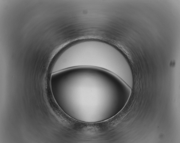 X0000091470536200708161130