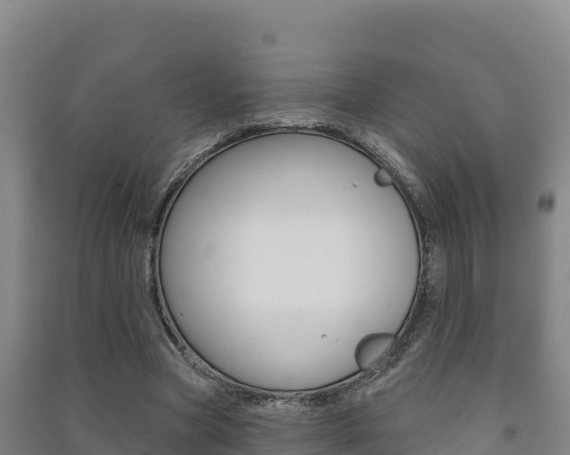 X0000091470537200708161130