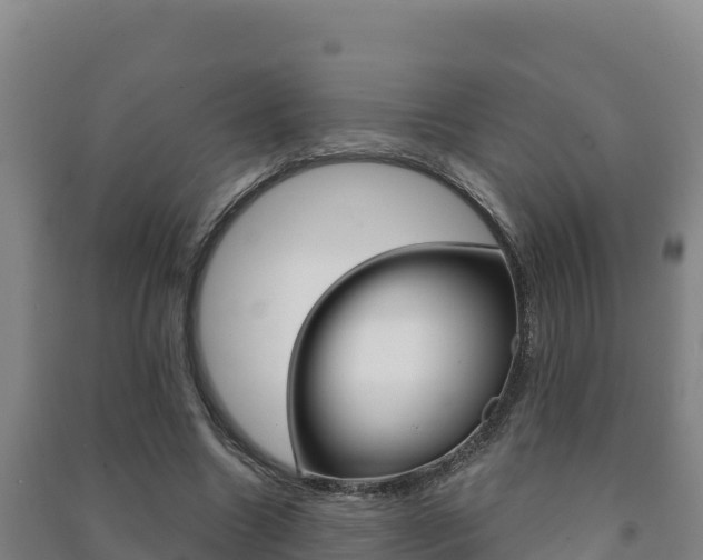 X0000091470538200708161130