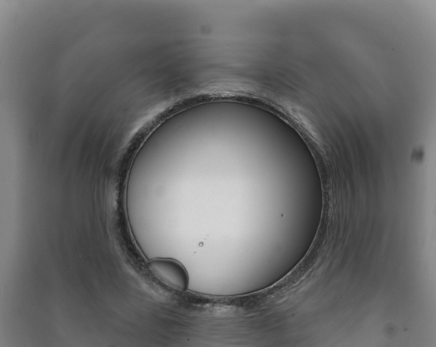 X0000091470539200708161130