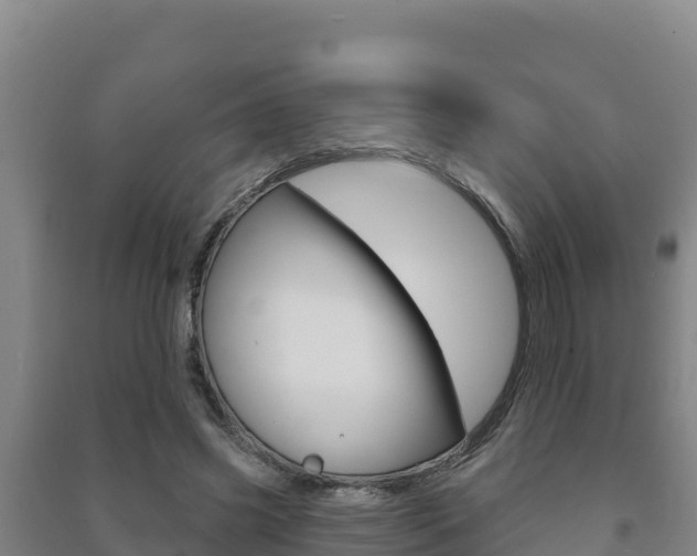 X0000091470541200708161130