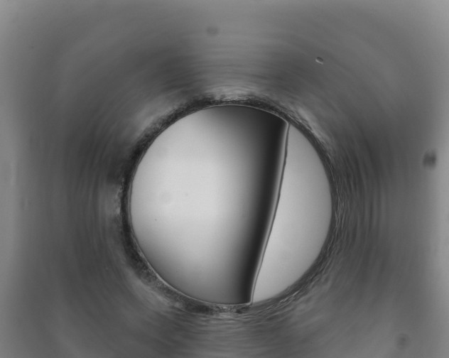 X0000091470543200708161130