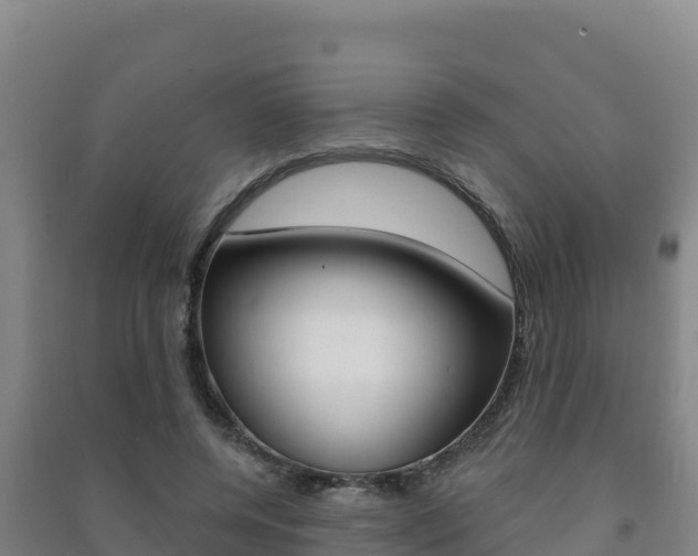 X0000091470544200708161130