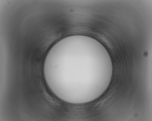 X0000091470546200708161130
