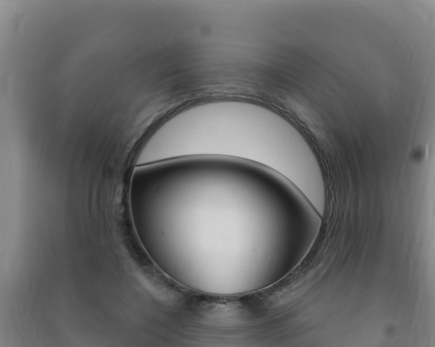 X0000091470548200708161130