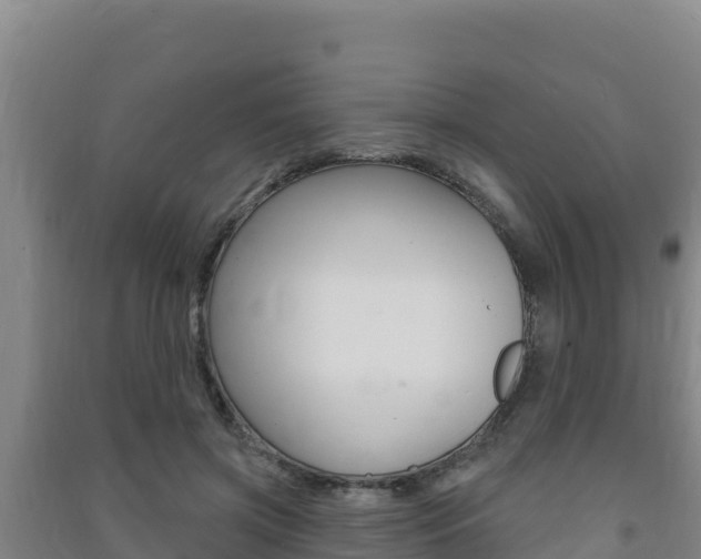 X0000091470549200708161130