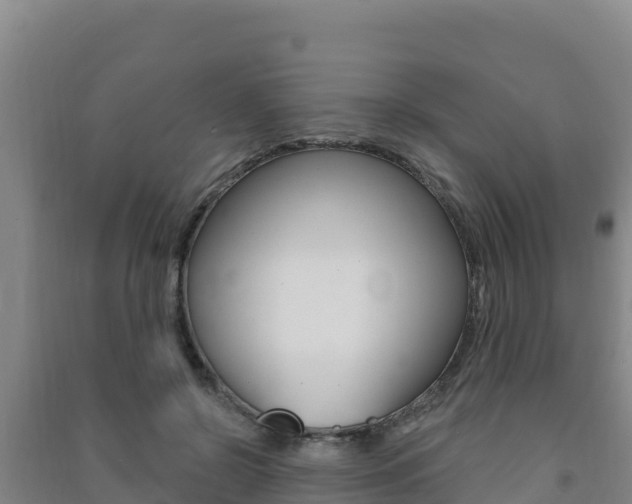 X0000091470550200708161130