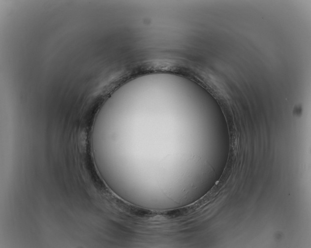 X0000091470551200708161130