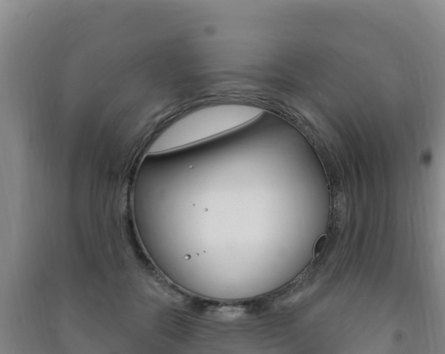 X0000091470554200708161130