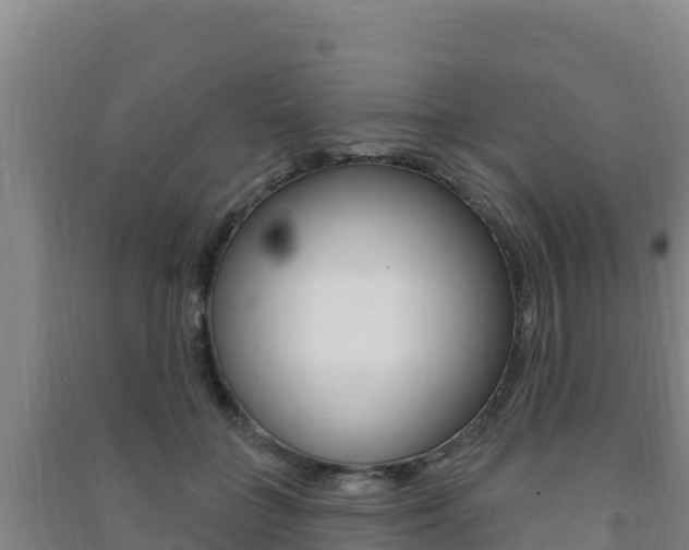 X0000091470555200708161130