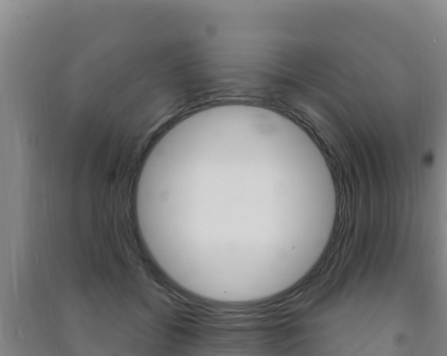 X0000091470556200708161130