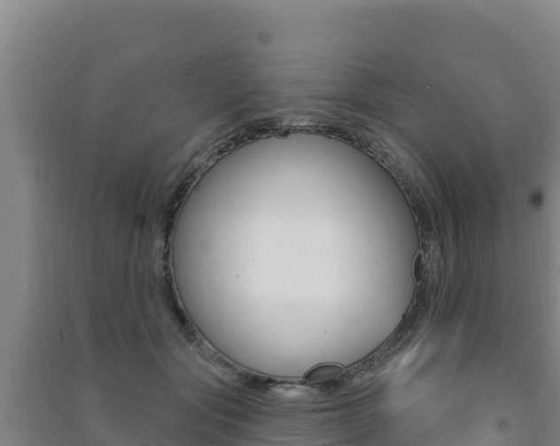 X0000091470557200708161130