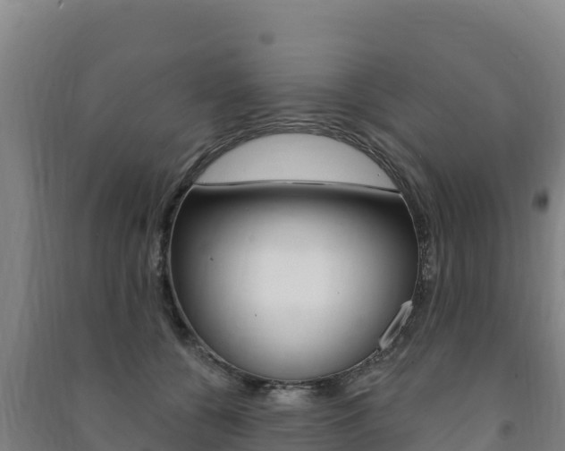 X0000091470560200708161130