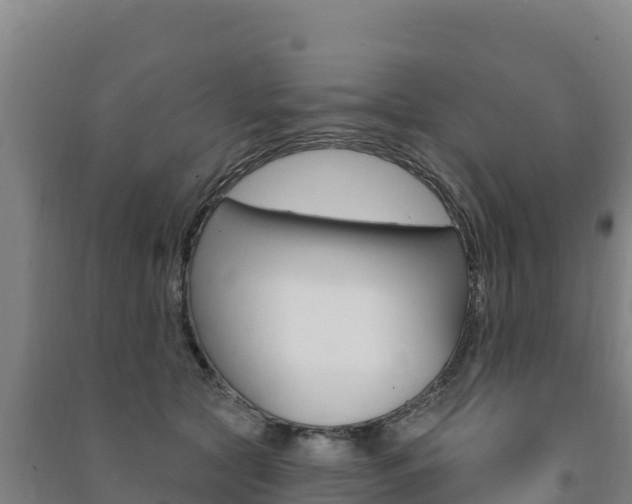 X0000091470561200708161130