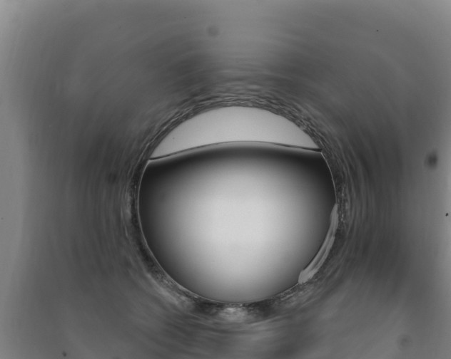 X0000091470562200708161130