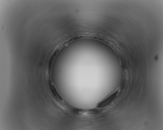X0000091470564200708161130