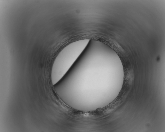 X0000091470565200708161130