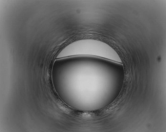 X0000091470566200708161130