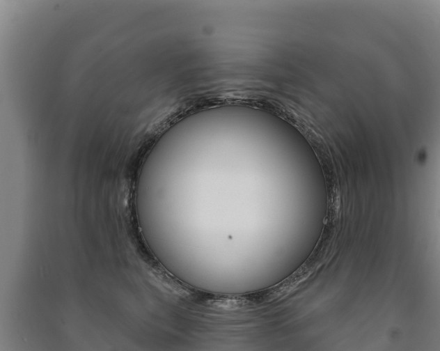 X0000091470567200708161130